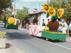 1993 Photo de la fête des chars de 1993