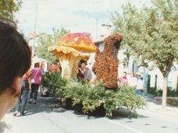 1993 Photo de la fête des chars de 1993