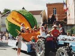 1993 Fête des chars de Molières