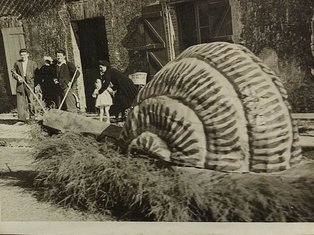 Photo de fête de Molières