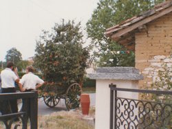 1990 Photo de la fête des chars de 1990
