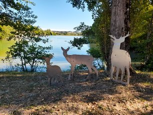 Photo environnement de Molières