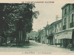 Carte postale des Promenades du Plateau