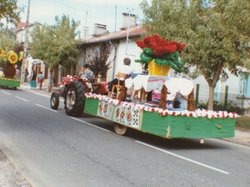 1993 Photo de la fête des chars de 1993