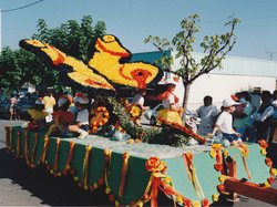 1991 Fête des chars de Molières