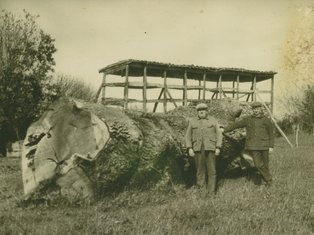 Sainte-Arthémie en 1965, avec Messieurs Delmas, père et fils Photo d'une ferme