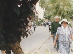 1995 Photo de la fête des chars de Molières